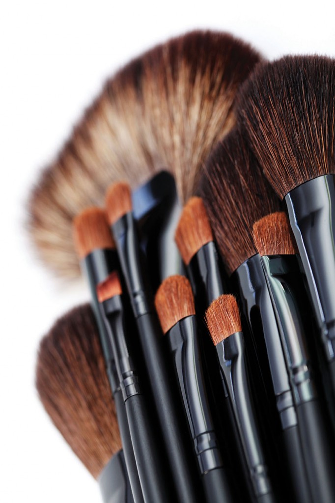 Makeup Brush