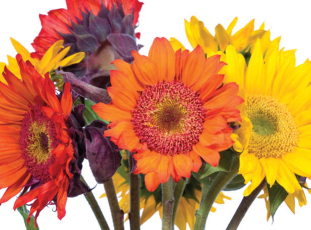 running to the mercy seat